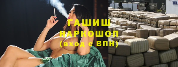 прущие грибы Коряжма