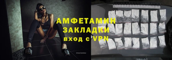 прущие грибы Коряжма
