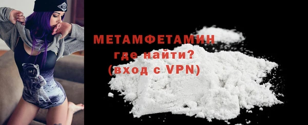 прущие грибы Коряжма