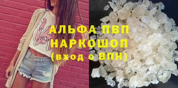 СК Козельск