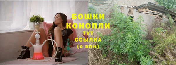 СК Козельск